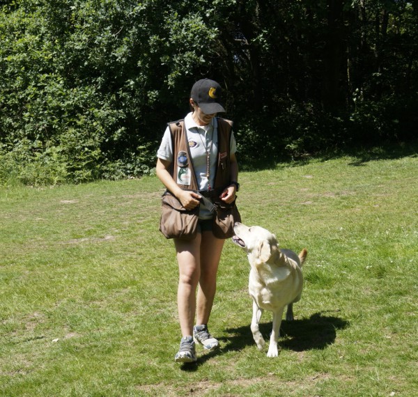 Loose Lead Walking